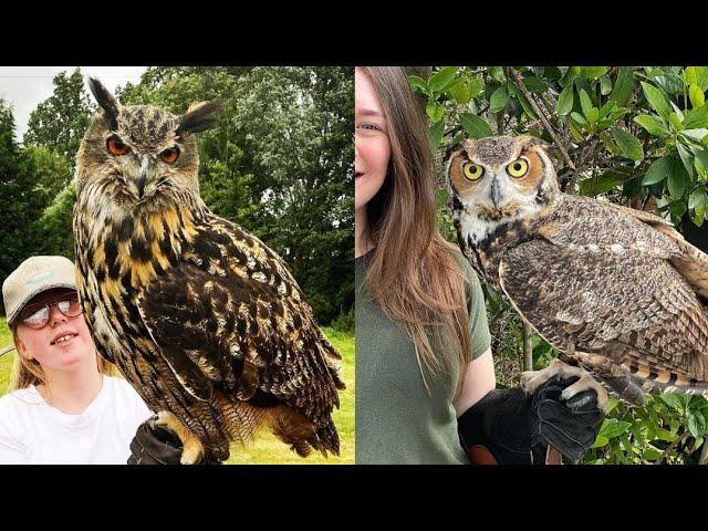OWL BIRDS- Funny Owls And Cute Owls Videos Compilation (2021) #017 - CLONDHO TV