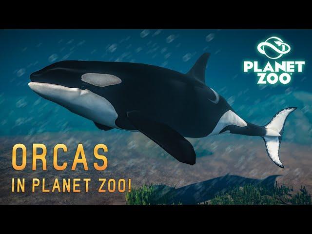 KILLERWALE, ZÜGELPINGUINE & SCHWARZFUßILTIS! 3 NEUE TIERE! - Planet Zoo Mods