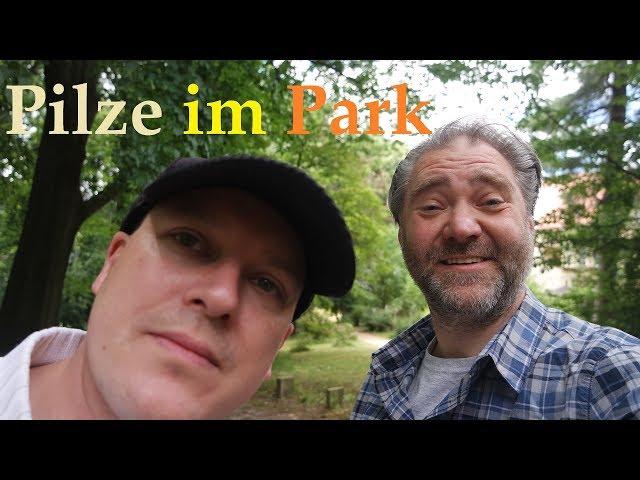 PILZE SAMMELN im Park mit Snokri 