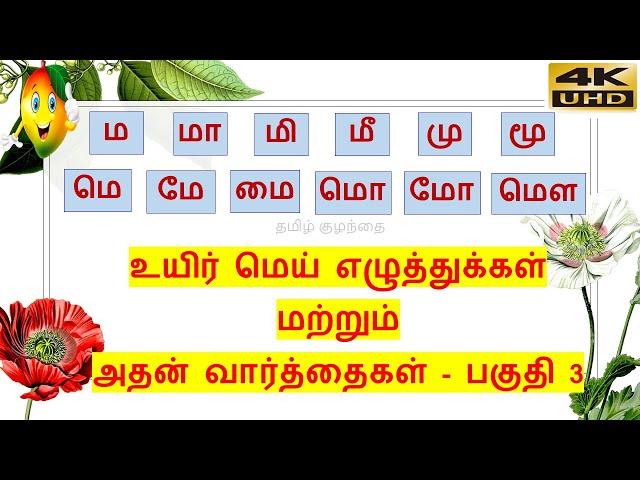 தமிழ்-ம வரிசை உயிர் மெய் எழுத்துக்கள்-பகுதி 3(ம முதல் மௌ வரை)/ ma varisai uyir mei eluthukkal 4K UHD