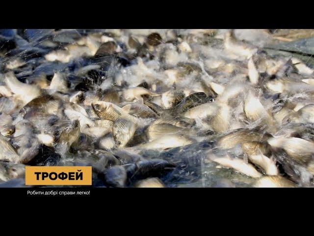 Зариблення водойми "Жандарка" - 2020 та плани на майбутне!