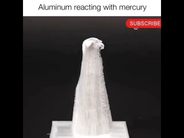 "Aluminum + Mercury: A Fascinating Reaction!" #viralvideo