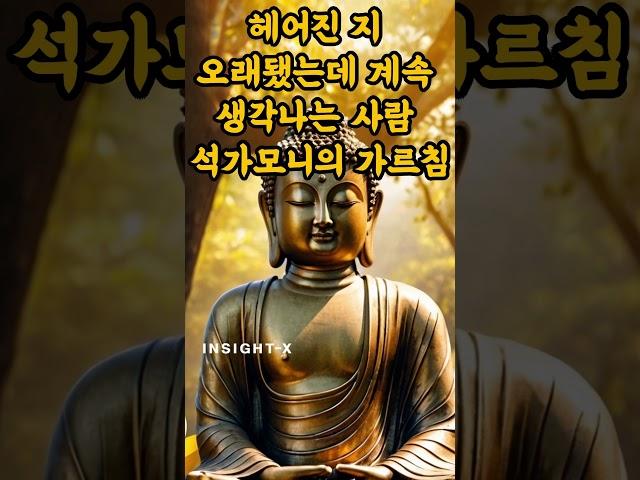 "스승님, 헤어졌는데 계속 생각납니다. 왜일까요?" 헤어진지 오래됐는데 계속 생각나는 사람 석가모니의 가르침 #불교명언 #삶의지혜 #이별후생각 #감정정화 #오디오북