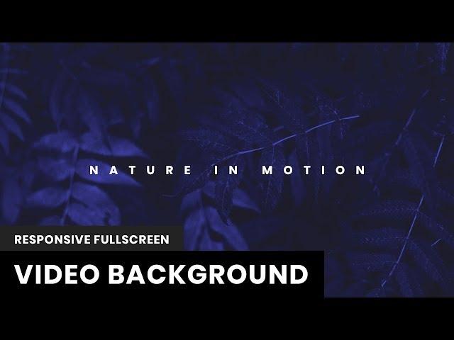 Responsive Fullscreen Video Background | Vide JS | HTML, CSS & JavaScript