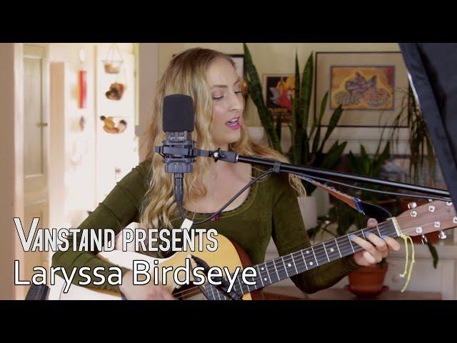 Laryssa Birdseye : VANSTAND