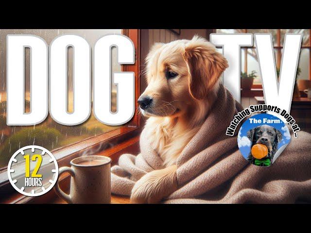 Deeply Relaxing Video for Deep Sleep & Stress Relief for Dogs - Dog Music Videos for Dogs to Watch