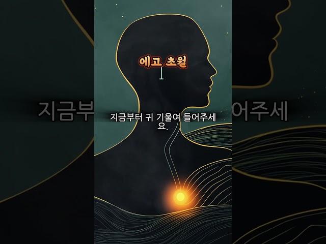 “나는 누구인가?” 라마나 마하리쉬의 깊은 통찰 | 자아 탐구와 진정한 나를 찾는 여정