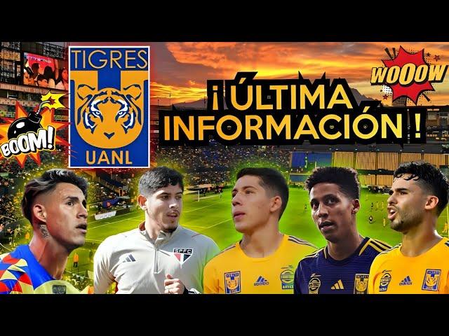 ÚLTIMAS NOTICIAS DE FICHAJES DE LOS TIGRES PARA EL CLAUSURA 2025 ALTAS BAJAS Y RUMORES DE LOS TIGRES