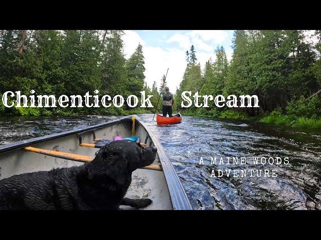 Maine Remote Canoe Trip | St John River