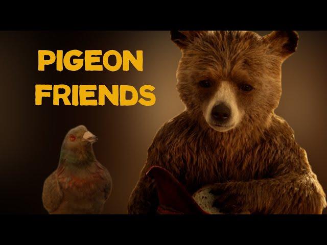 Paddington | Pigeons Love Paddington Too | Friendly Faces