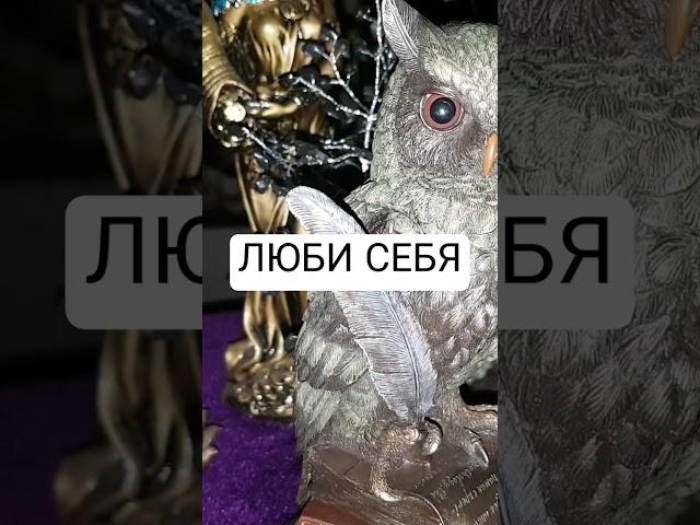 Ритуал ведьмы Инги Хосроевой #ведьминаизба #магия #ингахосроева #ритуал #заговор #shorts#кбогам