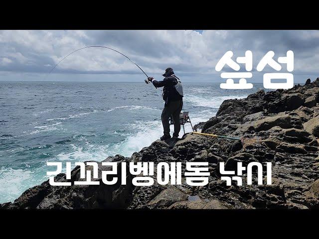 제주도 섶섬 긴꼬리벵에돔 낚시 원크릴 원벵에 폭풍입질 벵에돔이 바글바글 합니다