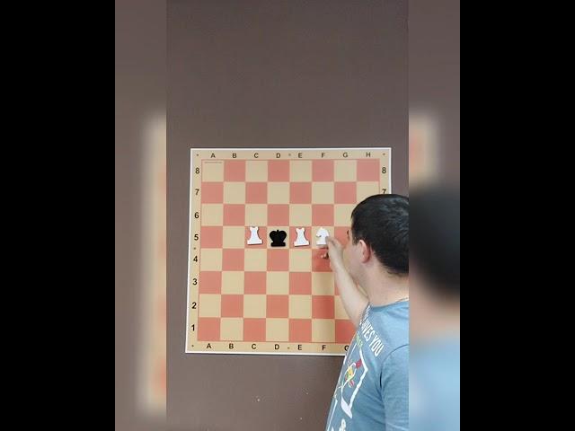 Ответ на решение шахматной задачи Лойда