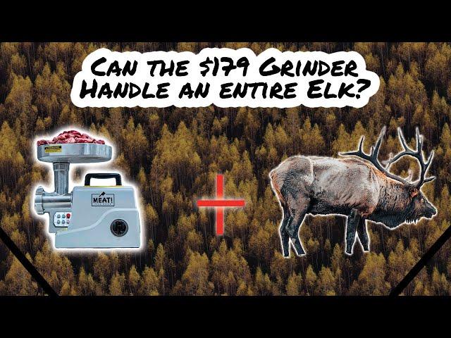 Can the Meat your Maker 500 W Grinder handle an entire elk? Should consider this budget grinder?