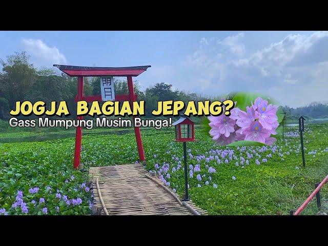 Mumpung Lagi Bagus Bagusnya! Jogja Rasa Jepang KALINAMPU NATURAL PARK