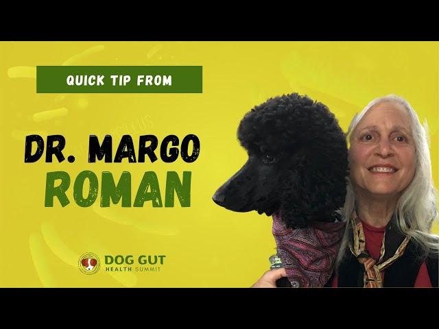 Dr. Margo Roman | What Is Microbiome Restorative Therapy? (MBRT) | Pet Summits