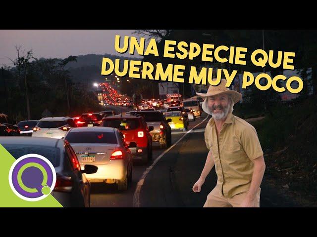 EL TRANQUE DE PANAMÁ (OESTE) | La Selva De Cemento ǀ Quien TV