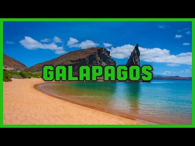 Whispers of the Galápagos: A Symphony of Nature