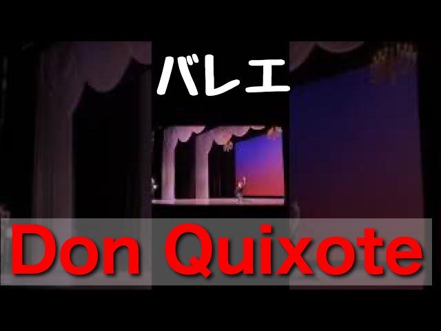 Don Quixote Basil 【やまちゃん】 #shorts