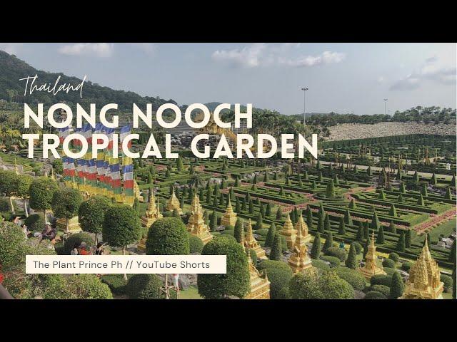 French Garden at Nong Nooch Tropical Garden #Shorts