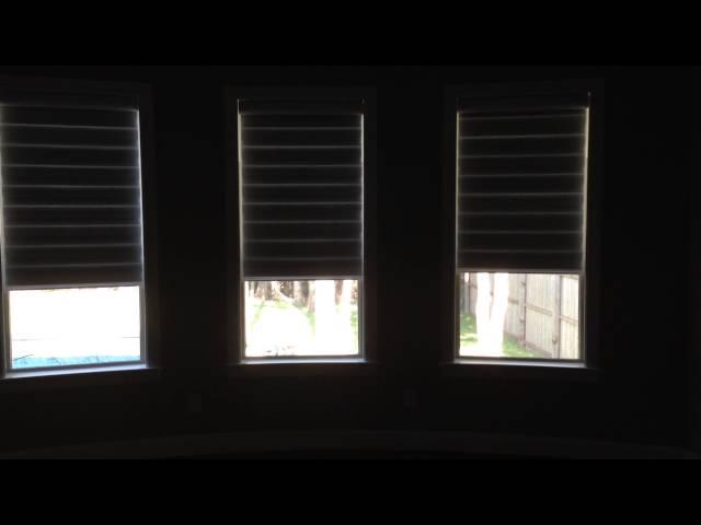 Hunter Douglas Pirouette Shade with PowerRise