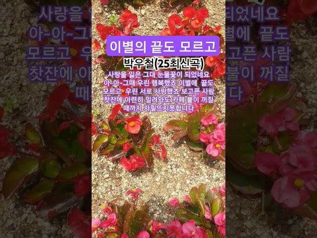 이별의 끝도 모르고 #박우철#트로트#2025.1.13박우철골든최신곡
