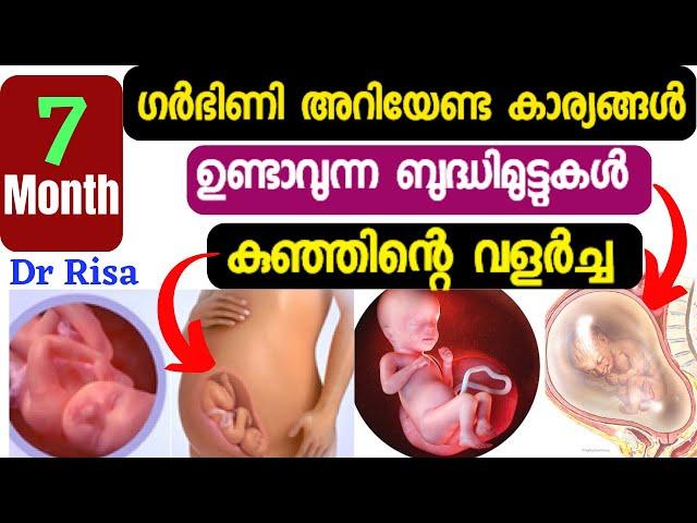 7 month Pregnancy Malyalam|Pregnancy Month by Month|Pregnacy Care