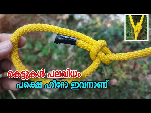 കെട്ടുകളുടെ രാജാവ് ആര്? l King of knot | Rope tricks | Knot | 4P Media #knot #ropetrick #kettukal