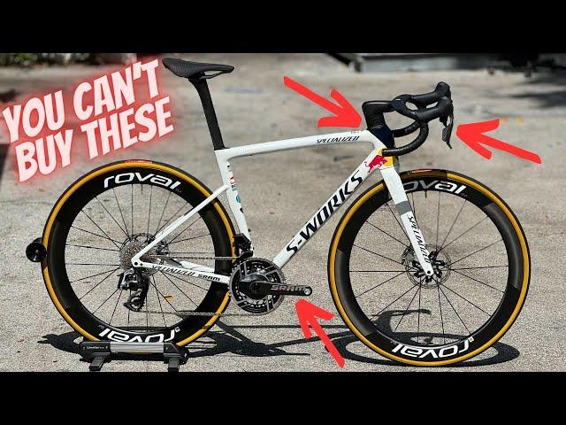 EVERYTHING You NEED to Know About The BORA RED BULL Specialized Tarmac SL8!!