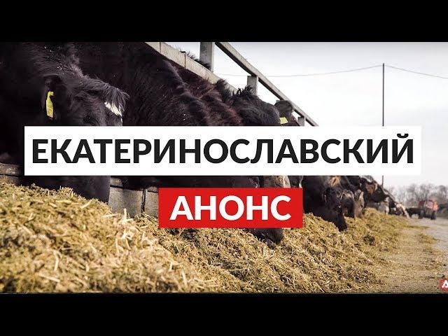 Молочно-товарный комплекс «Екатеринославский». 19 апреля. Анонс. AGROSPHERA