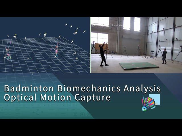 Badminton Biomechanical Analysis Using NOKOV Optical Motion Capture System