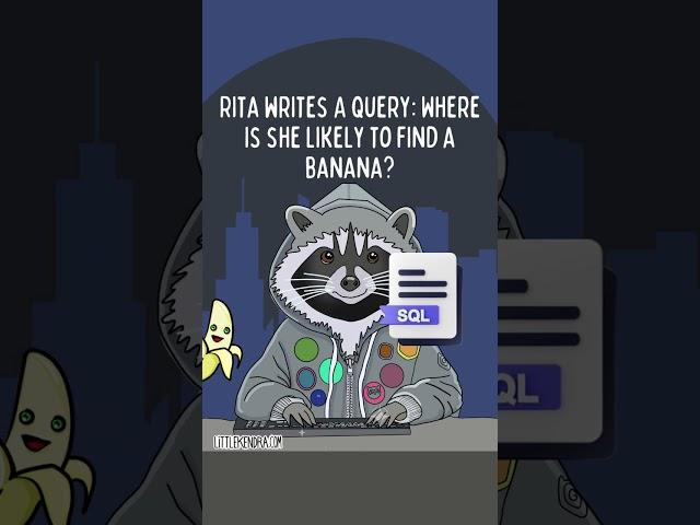 Rita the Raccoon Writes SQL