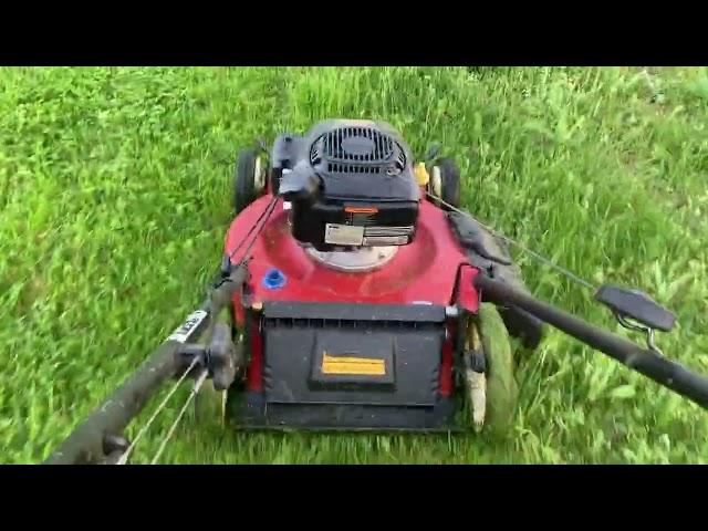 Mowing tall grass with the Toro Recycler 22 inch Lawnmower 1 out of 2 5-13-2022