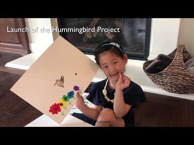 Videologue #41 Summer Hummingbird Project