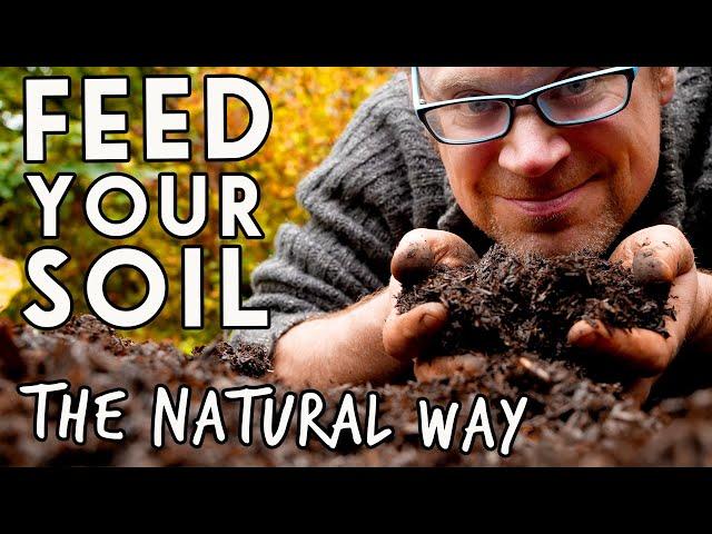 3 Ways to Build Soil Health