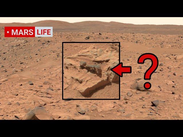 NASA Mars Rover Perseverance Sent Most Incredible Footage of Mars' Life! Curiosity' Rover Mars In 4K