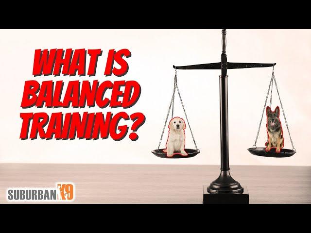 What is Balanced Dog Training? Plus an In Depth Explanation of Operant Conditioning!