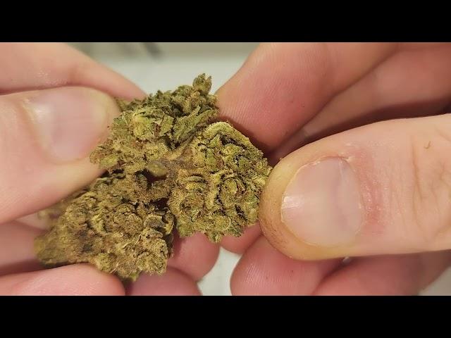 Hemp Flower Co.'s Skywalker Strain Review