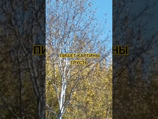 ОСТАНОВИТЬ ЧАСЫ #читаетавтор #shorts
