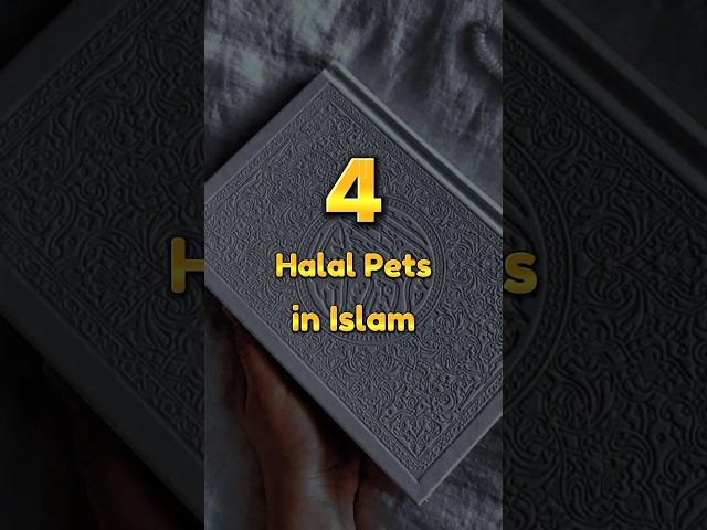 4 Halal Pets in Islam #shortsfeed  #ytislamicshorts #edit #viralvideo #halal