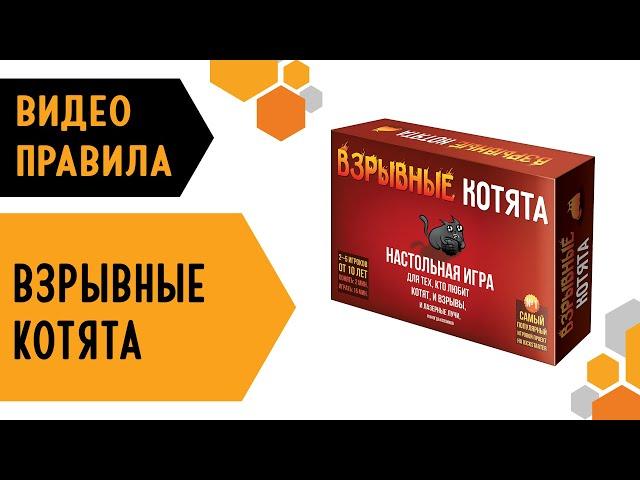 Взрывные котята — правила настольной игры 