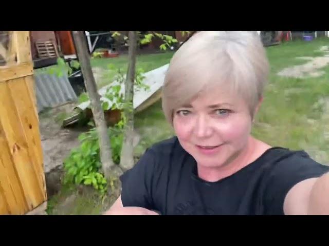Кукуруза слабая, зато помидоры стоят! Сад, огород. Любимое занятие, такое хобби Светланы Журавлевой!
