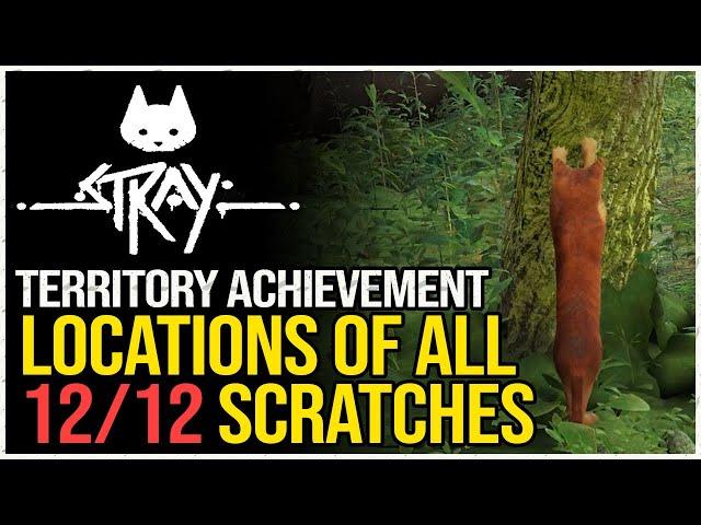 Stray All Scratch Locations (Territory Achievement)