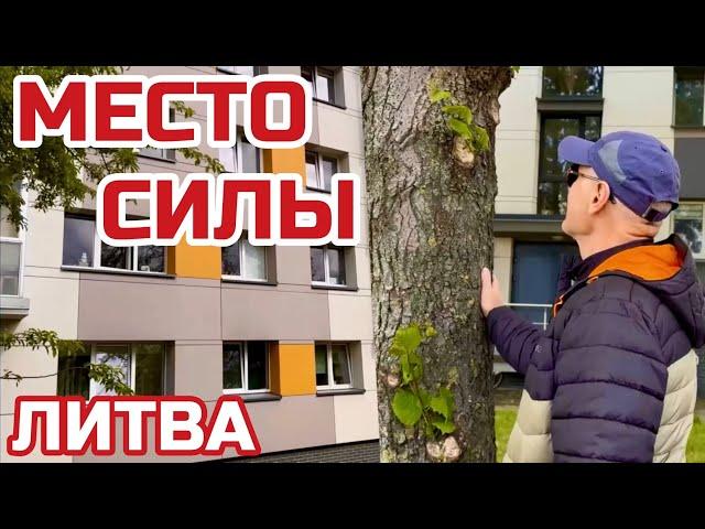 Литва. Это наша Родина! Многие против. Нельзя любить с закрытыми глазами. #литва #клайпеда