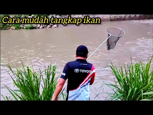 Sauk Ikan untukmu Laila//video Dari Fon Honor X9C #gengdunia