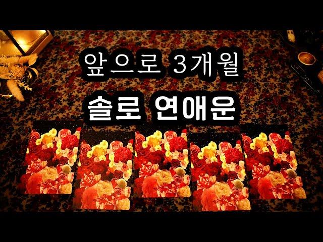 [타로] 지금부터 3개월, 솔로 연애운