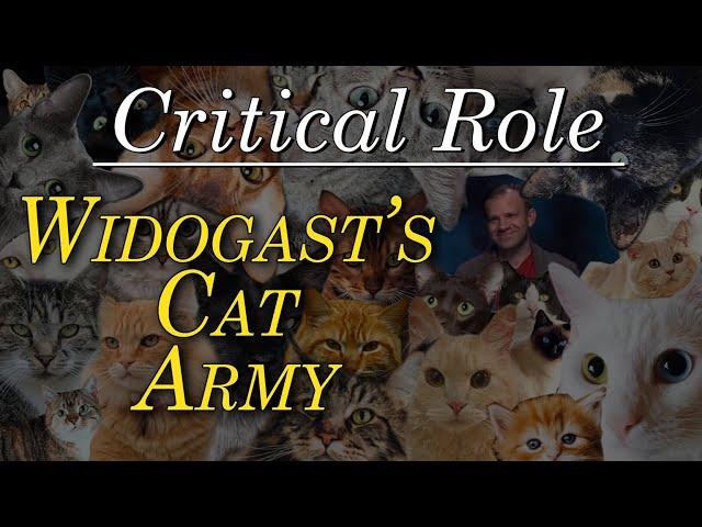 Widogast's Cat Army (The Tower Cats) - Critical Role