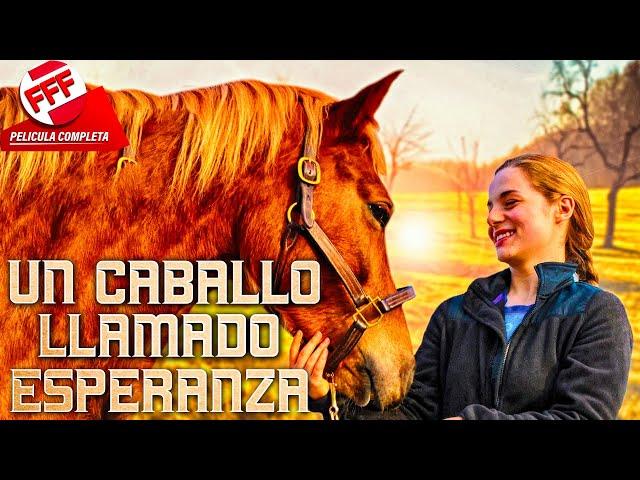 UN CABALLO LLAMADO ESPERANZA | Película Completa PARA FAMILIA en Español