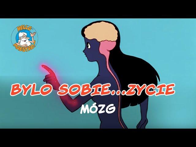 Bylo Sobie... Zycie - Mózg 