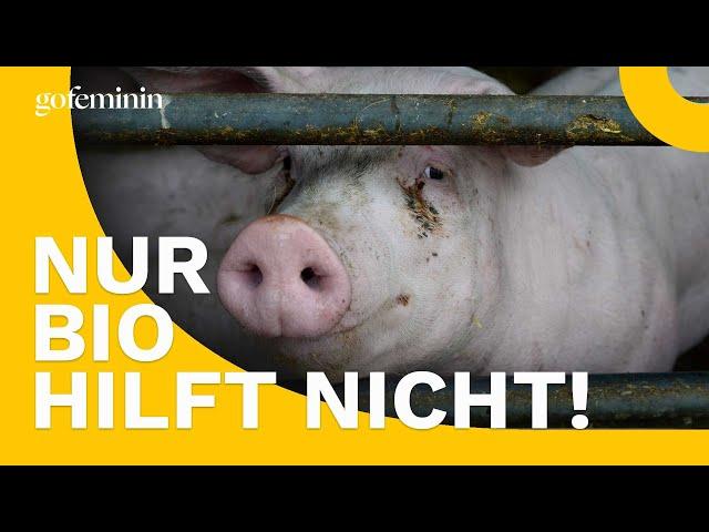 Warum es nicht reicht, nur kein Fleisch mehr zu essen